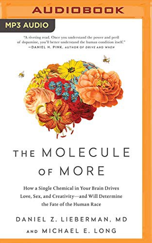 Front cover of The Molecule of More