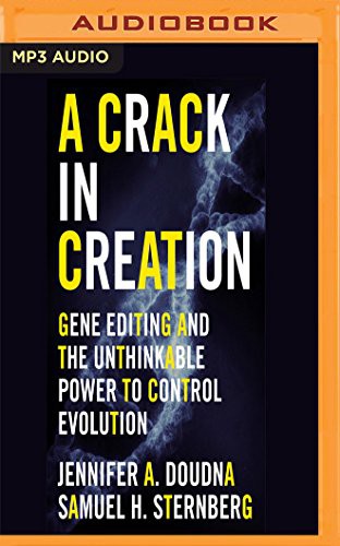 Front cover of A Crack in Creation