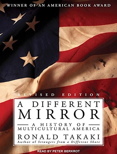 Front cover of A Different Mirror