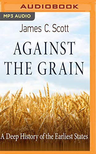 Front cover of Against the Grain